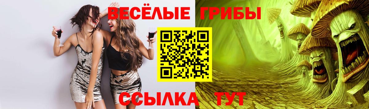 Галлюциногенные грибы Psilocybe Люберцы